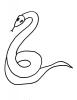 Ausmalbild kleine Schlange