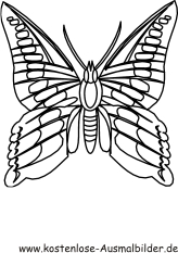 Ausmalbild Schmetterling 9
