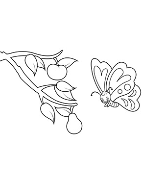 Ausmalbild Schmetterling am Obstbaum