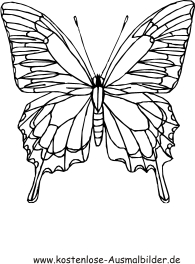 Zum pdf schmetterling ausmalen Schmetterling Zum