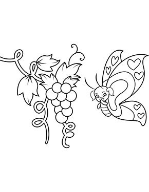 Ausmalbild Schmetterling und Weinrebe