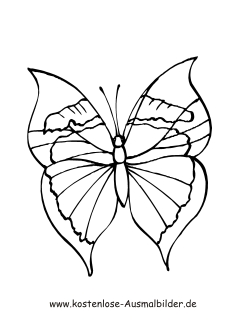 Schmetterling bilder zum ausmalen 61 Schmetterling