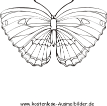 Ausmalbild bunter Schmetterling 1