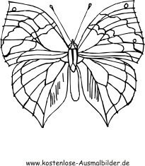 Ausmalbild bunter Schmetterling