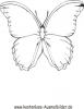 Ausmalbild Schmetterling 14