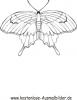 Ausmalbild Schmetterling 15