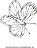 Ausmalbild Schmetterling 16