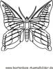 Ausmalbild Schmetterling 9