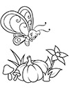 Ausmalbild Schmetterling und Kürbis