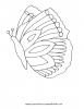 Ausmalbild Schmetterling