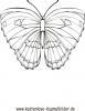 Ausmalbild bunter Schmetterling 1