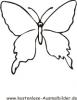 Ausmalbild einfacher Schmetterling