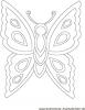 Ausmalbild grosser Schmetterling