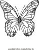Ausmalbild schöner Schmetterling