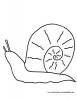 Ausmalbild Schnecke