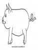 Ausmalbild Malvorlage Schwein