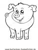 Ausmalbild Schwein 1