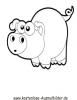 Ausmalbild Schwein 5