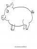 Ausmalbild Schweinchen