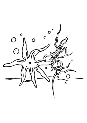 Ausmalbild Schwimmender Seestern