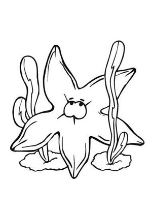 Ausmalbild Seestern im Seetang