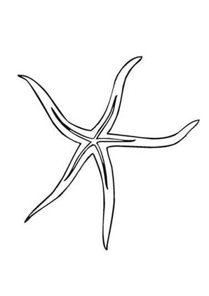 Ausmalbild Seestern mit dünnen Armen