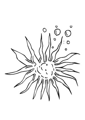 Ausmalbild Sonnenblumenseestern