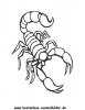 Ausmalbild Skorpion 2