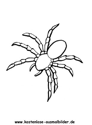 Ausmalbild Spinne 2 zum Ausdrucken