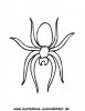 Ausmalbild Spinne 3