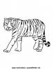 Ausmalbild Tiger 6