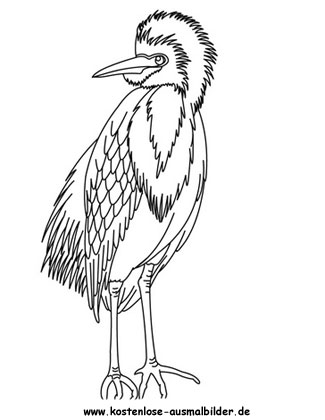 Ausmalbild Reiher 1