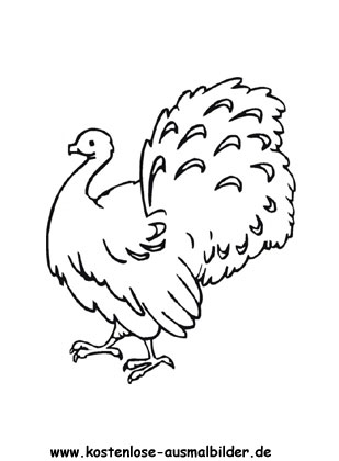 Ausmalbild Truthahn 1