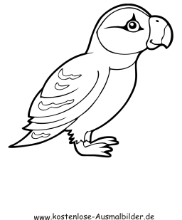 malvorlagen vogel kostenlos - kinder zeichnen und ausmalen