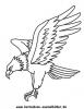 Ausmalbild Adler 1