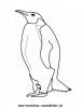 Ausmalbild Esels Pinguin