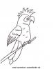 Ausmalbild Papagei 1
