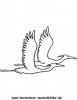 Ausmalbild Reiher 2
