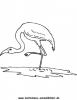 Ausmalbild Reiher