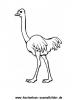 Ausmalbild Strauss 1