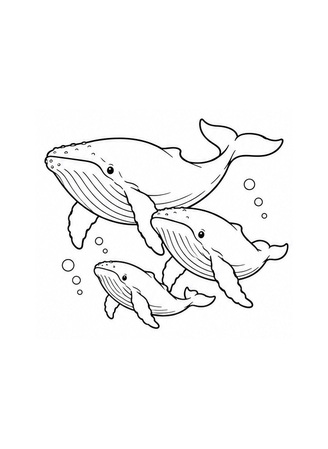 Ausmalbild Walfamilie unter Wasser