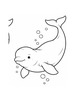 Ausmalbild Belugawal schwimmt