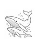 Ausmalbild Walkalb schwimmt bei seiner Mutter