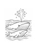 Ausmalbild Walmutter und Kalb an der Wasseroberfläche