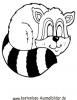 Ausmalbild Schlafender Waschbär