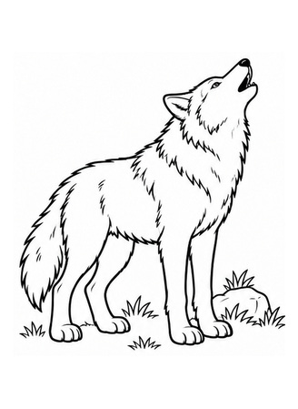 Ausmalbild Wolf heult