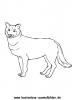 Ausmalbild Wolf 2