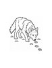 Ausmalbild Wolf folgt einer Spur