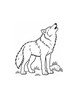 Ausmalbild Wolf heult