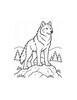 Ausmalbild Wolf steht auf Felsen